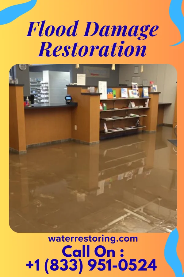 Flood Damage Restoration in Oak Shores, CA