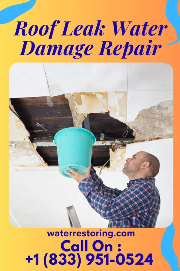 Roof Leak Water Damage Repair in Oak Shores, CA